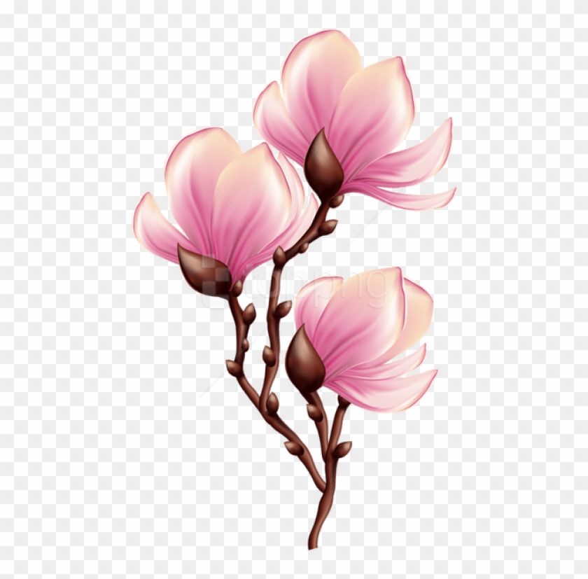 Download Beautiful Blooming Branch Transparent Png