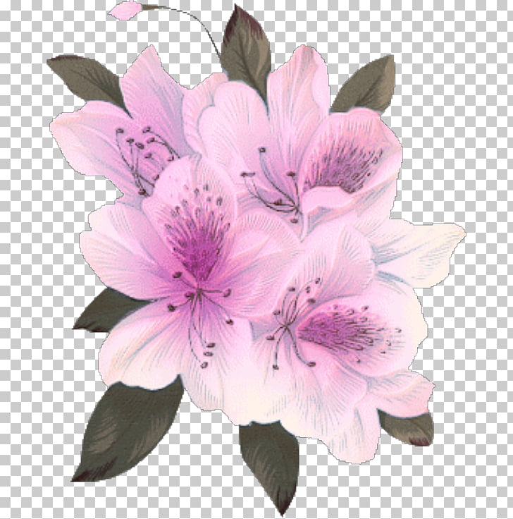 Flower bouquet desktop.