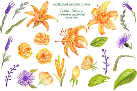 Wedding Clipart Watercolor orange day lily roses by