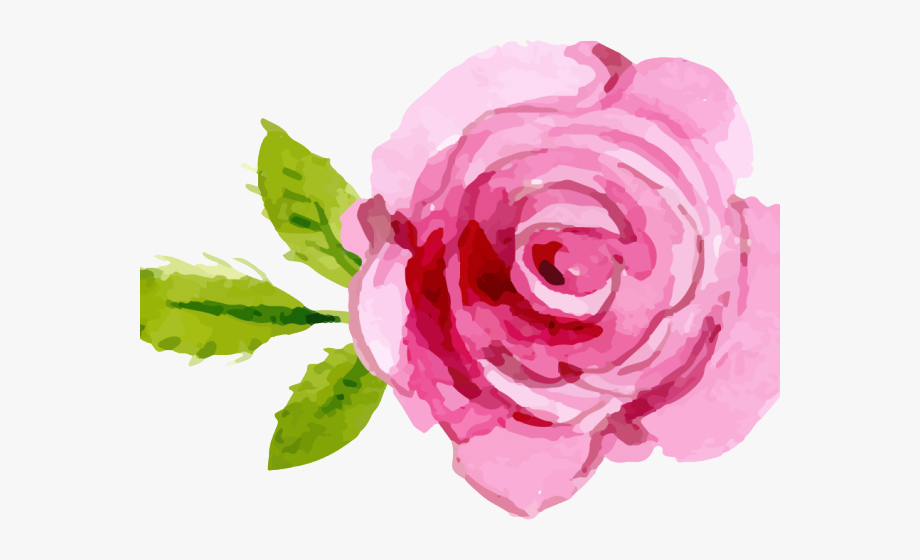 Pink Rose Clipart Transparent Background