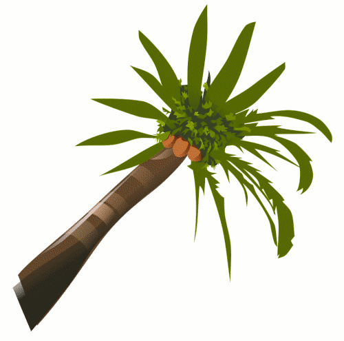 Free Coconut Tree Animated, Download Free Clip Art, Free
