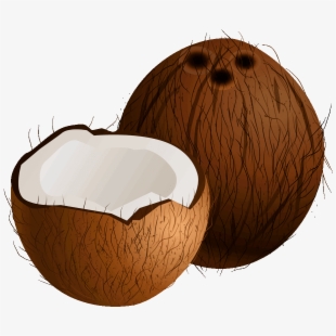 Free Coconut Clipart Cliparts, Silhouettes, Cartoons Free