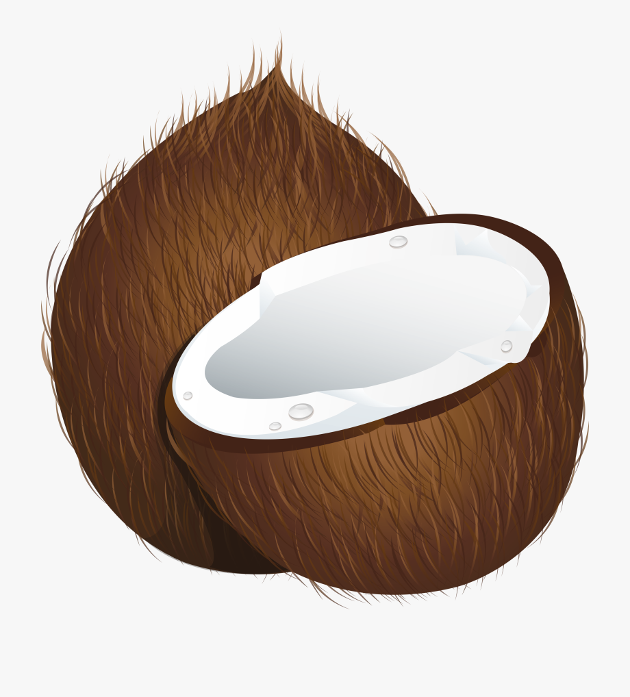 Coconut png image.