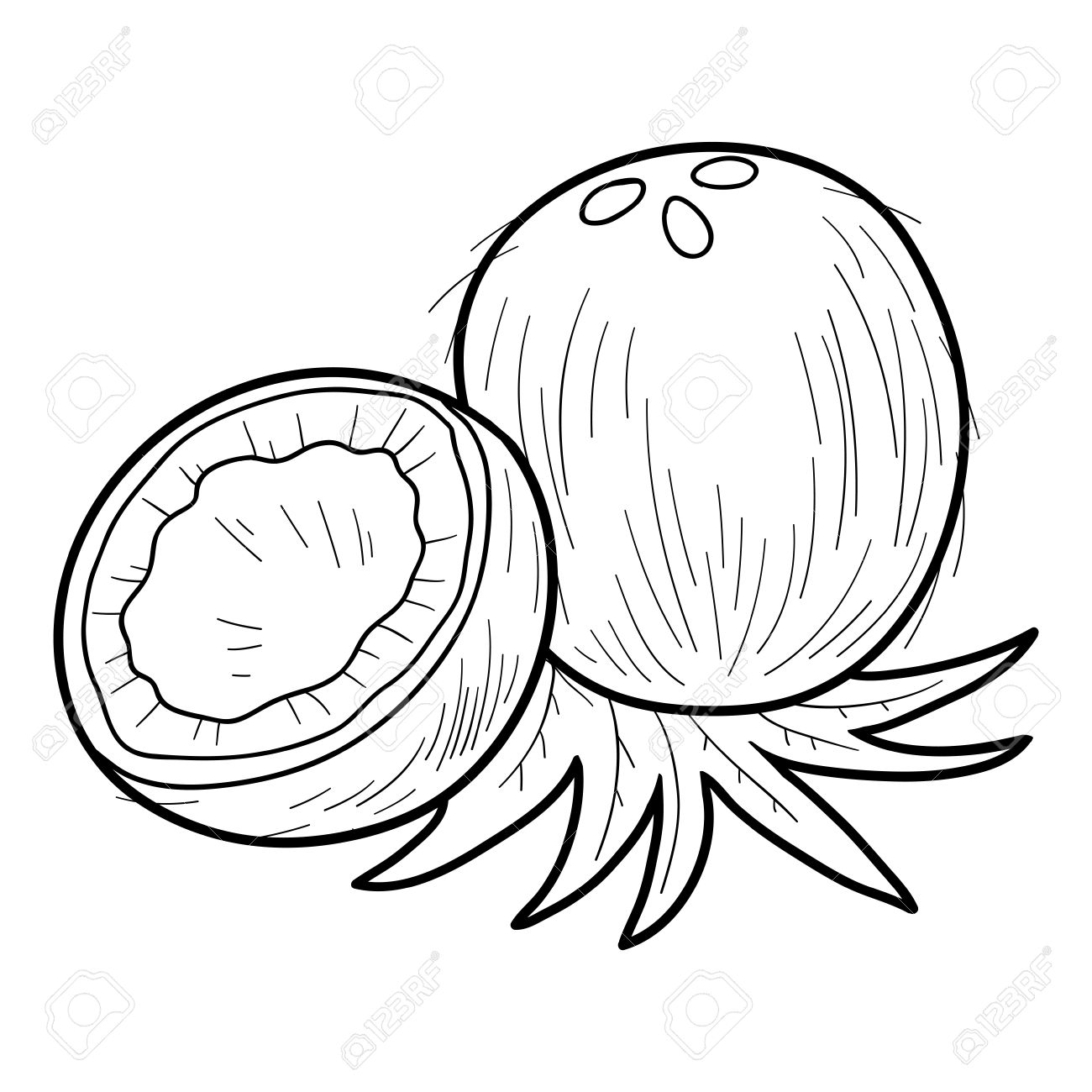 Coconut Clipart coloring page