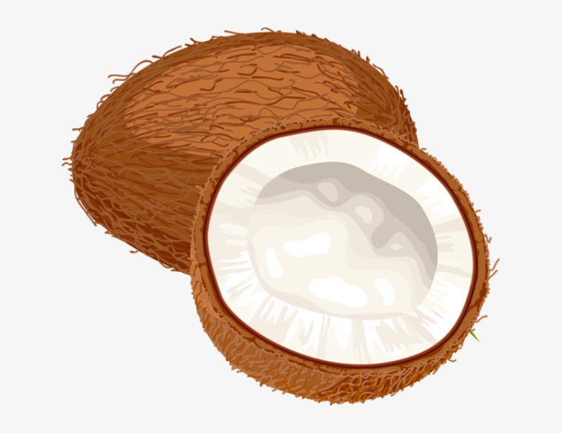 Coconut clipart cute.