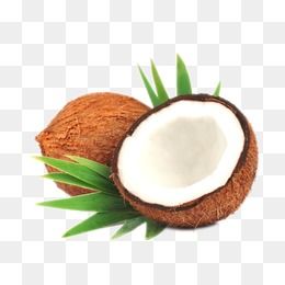 Coconut coconut clipart.