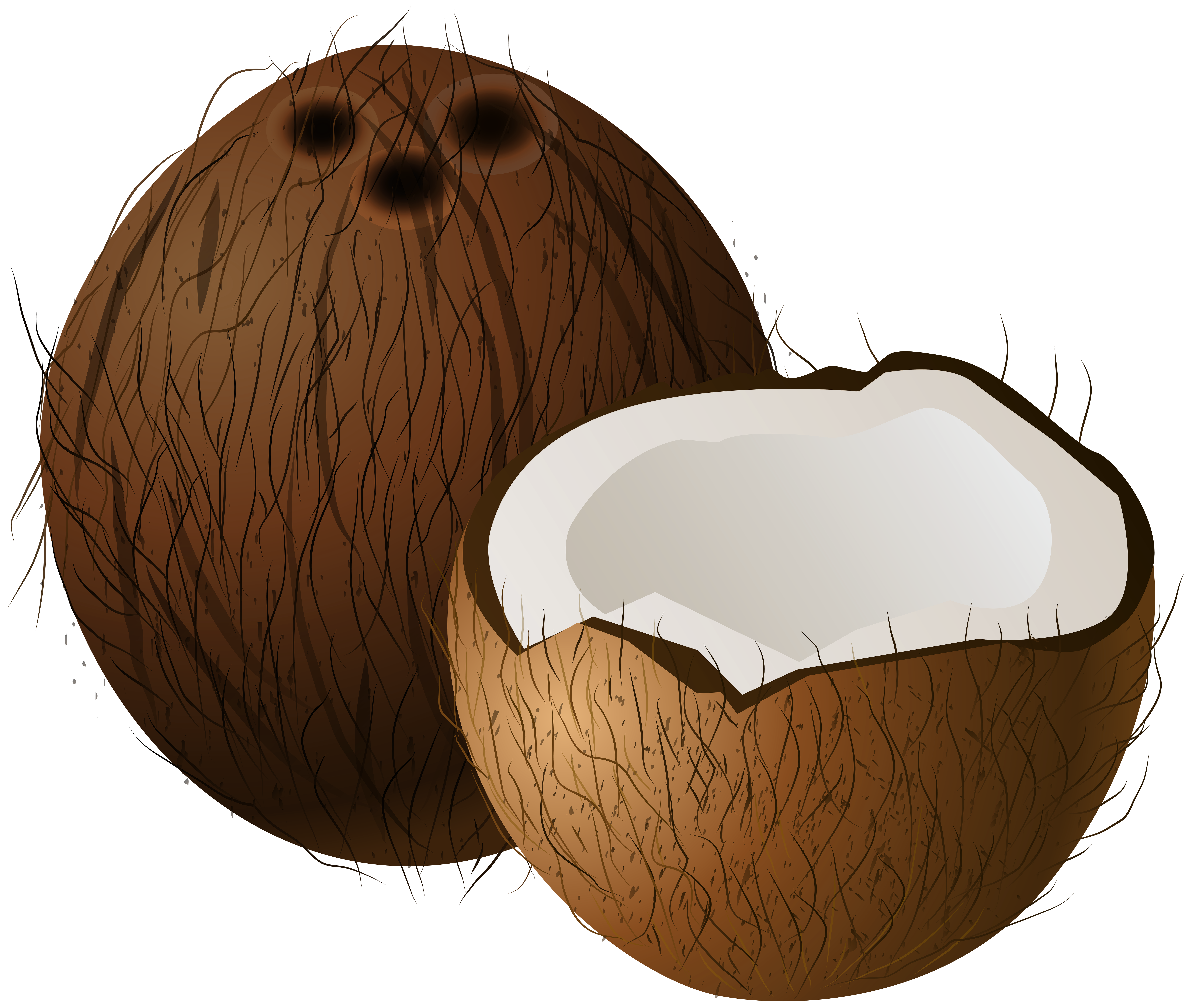 Coconuts PNG Clip Art