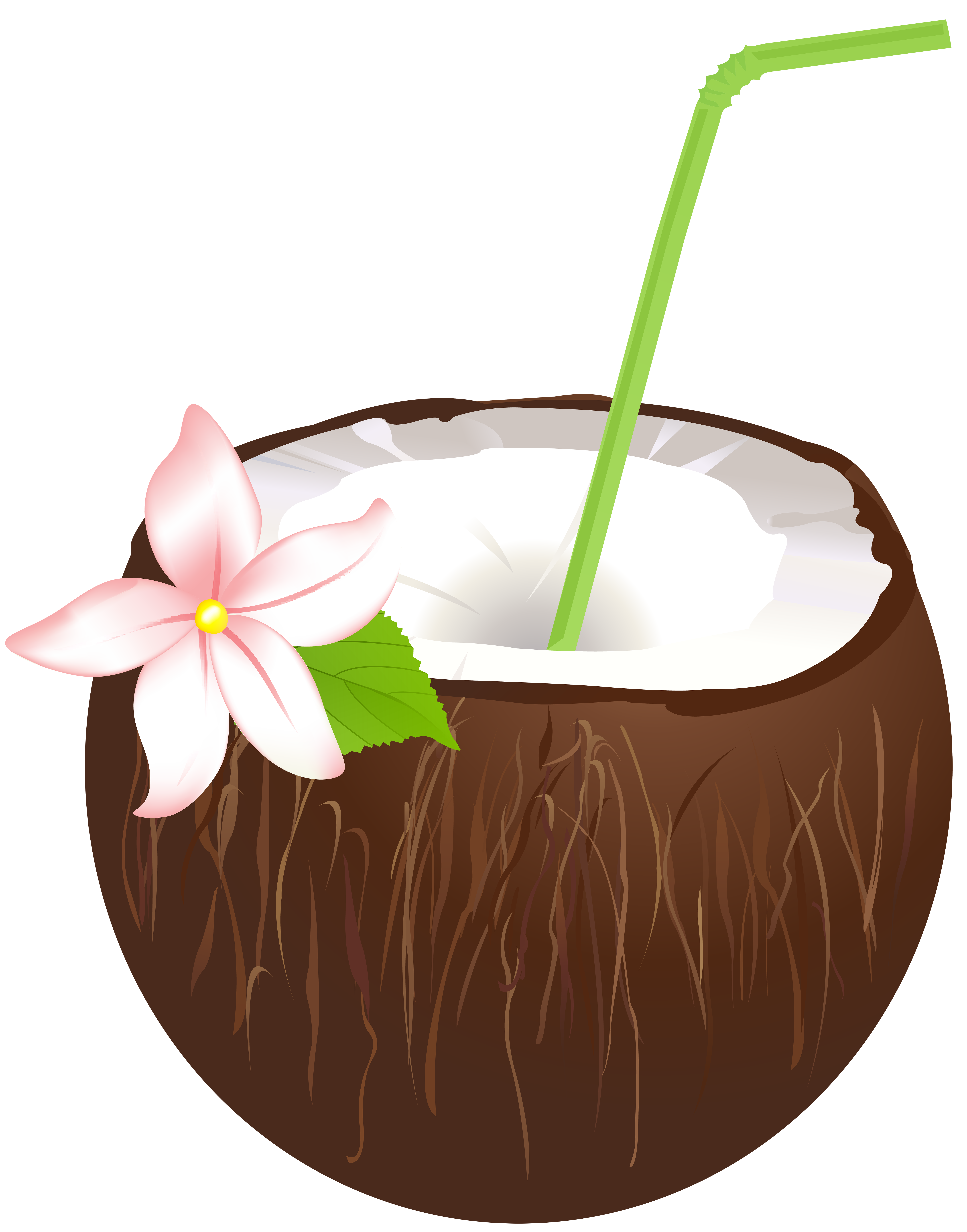 Summer coconut drink.