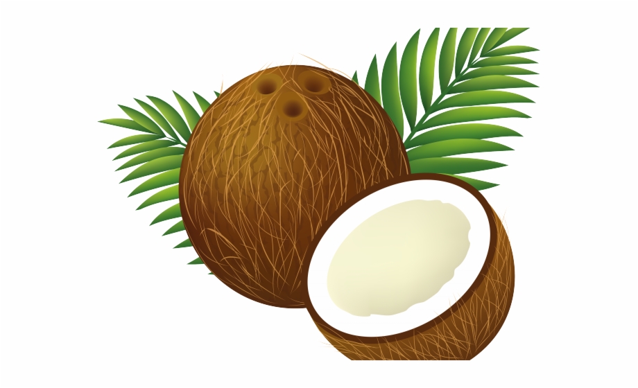 Coconut clipart luau.