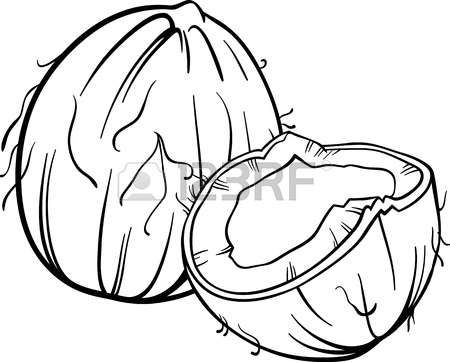 Clipart Coconut Stock Photos Images in