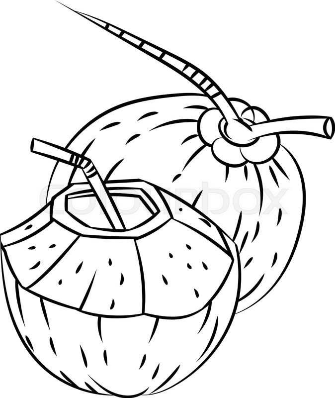 Coconut clipart black and white clipart images gallery for
