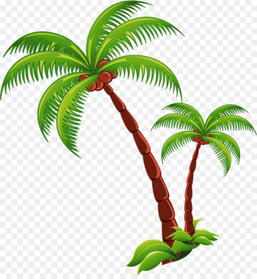 coconut clipart palm tree