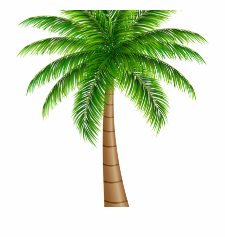 Palm Clipart Palm Tree Large Png Clip Art Image Art
