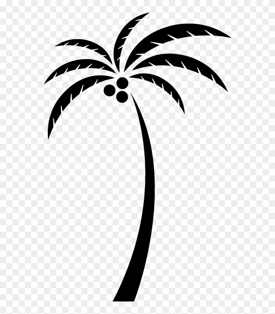 Coconut Arecaceae Tree Clip Art