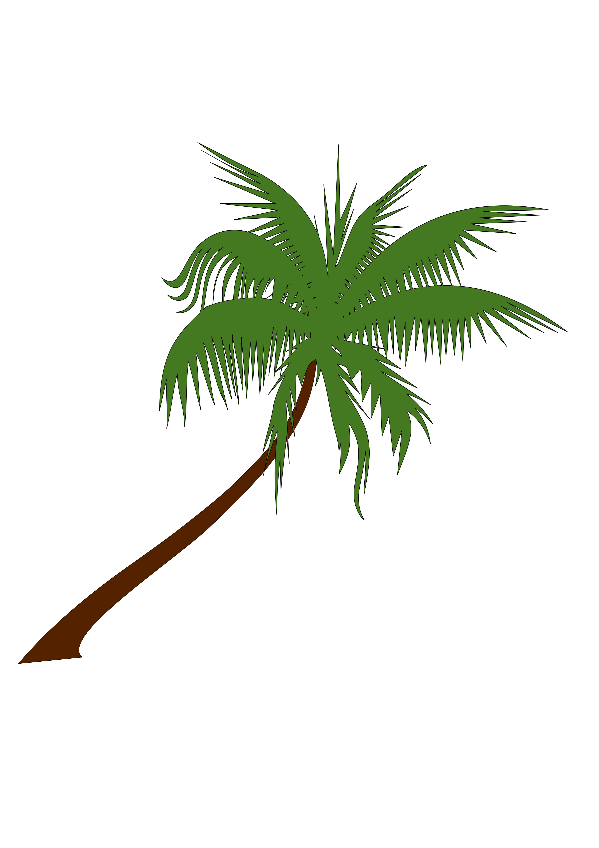Coconut Clipart single