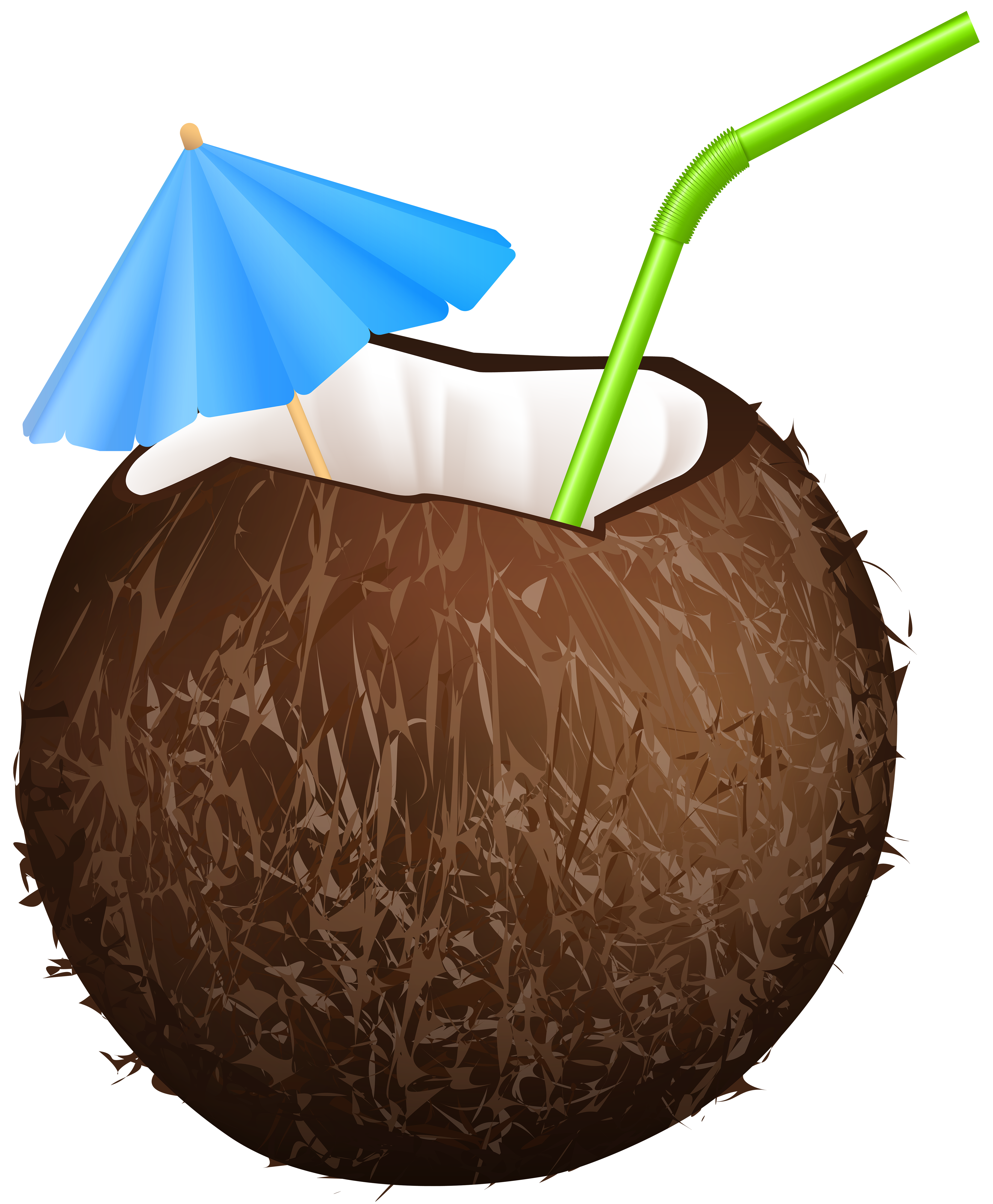coconut clipart summer