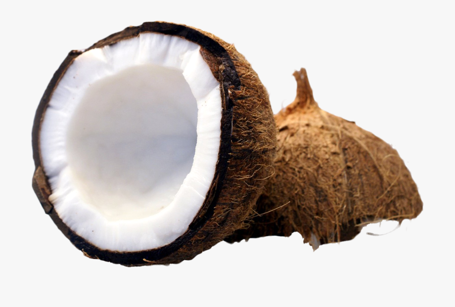 Coconut Clipart Coconut Half