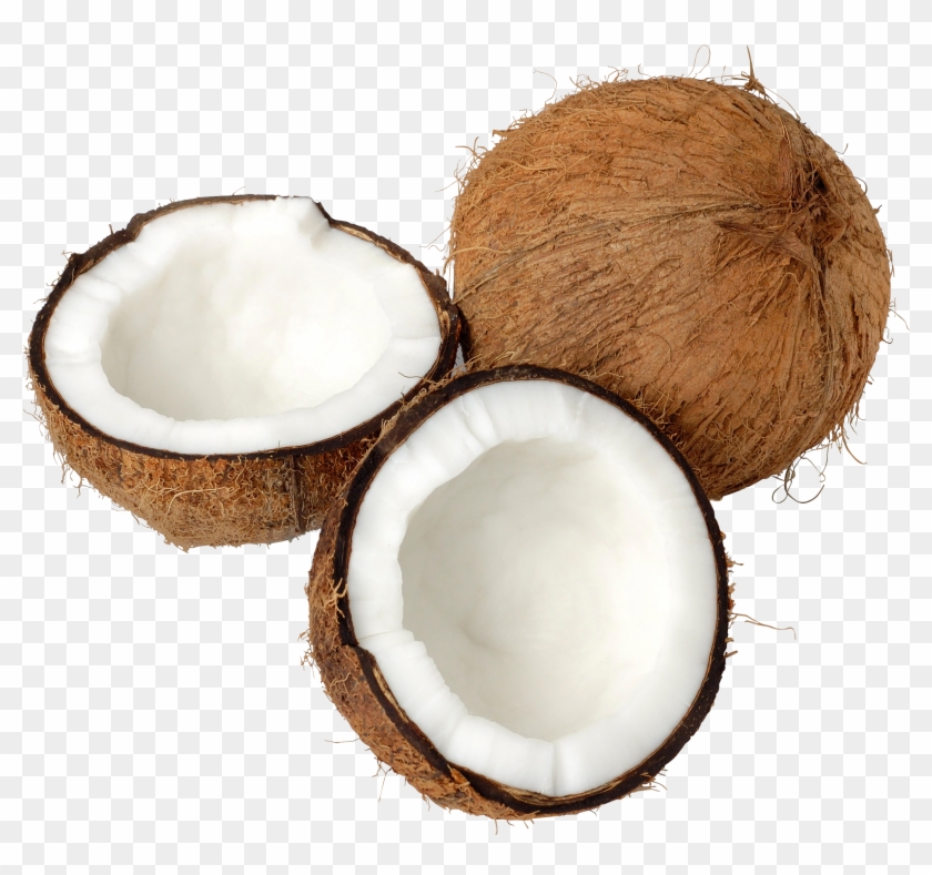 Transparent coconut png.