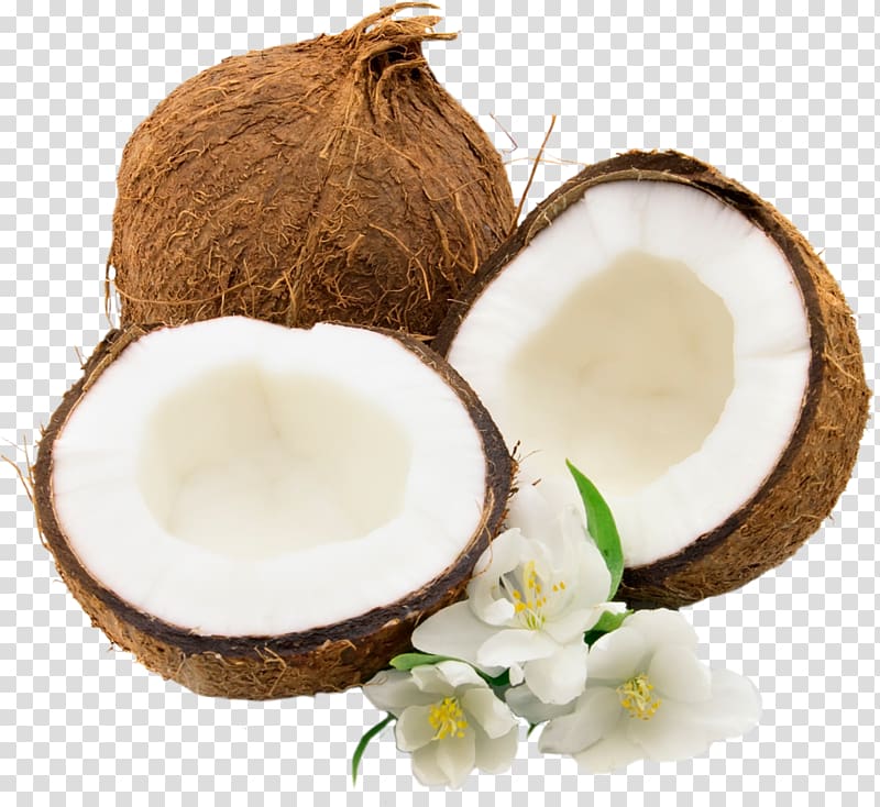 Coconut water Coconut milk , coconut transparent background
