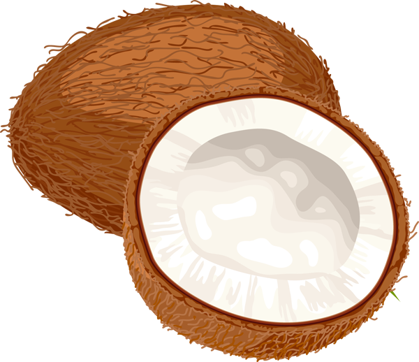 coconut clipart transparent background