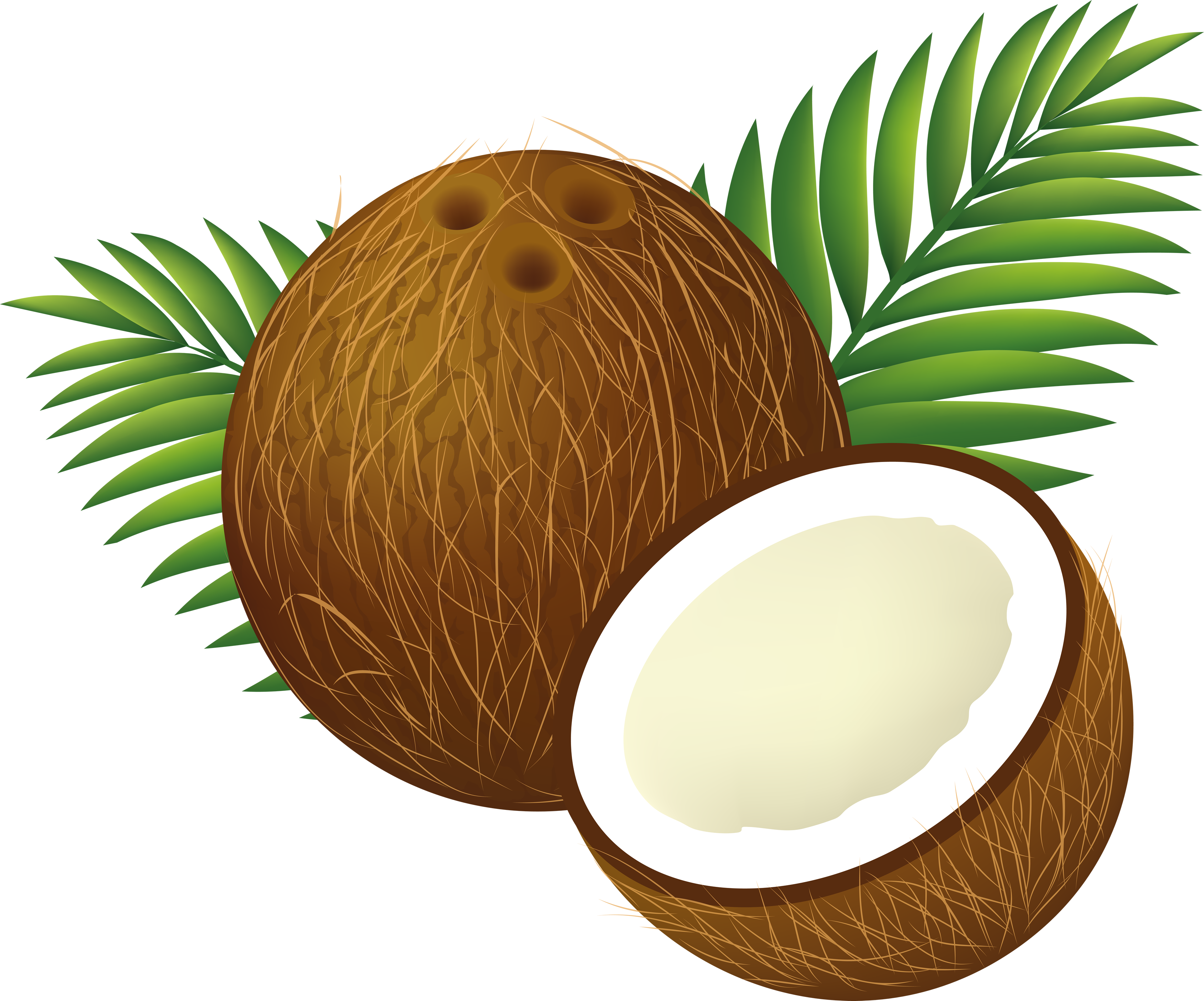 Coconut water coconut.
