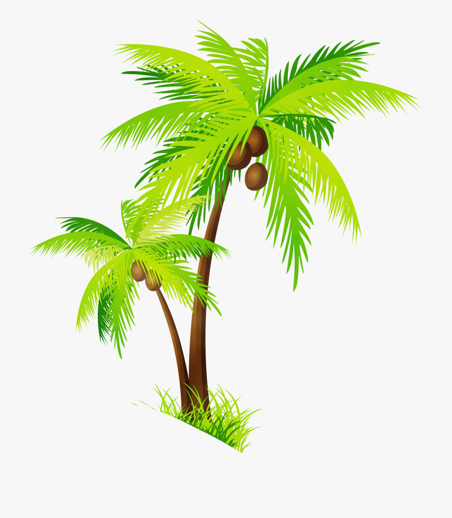 Clip Art Coconut Tree