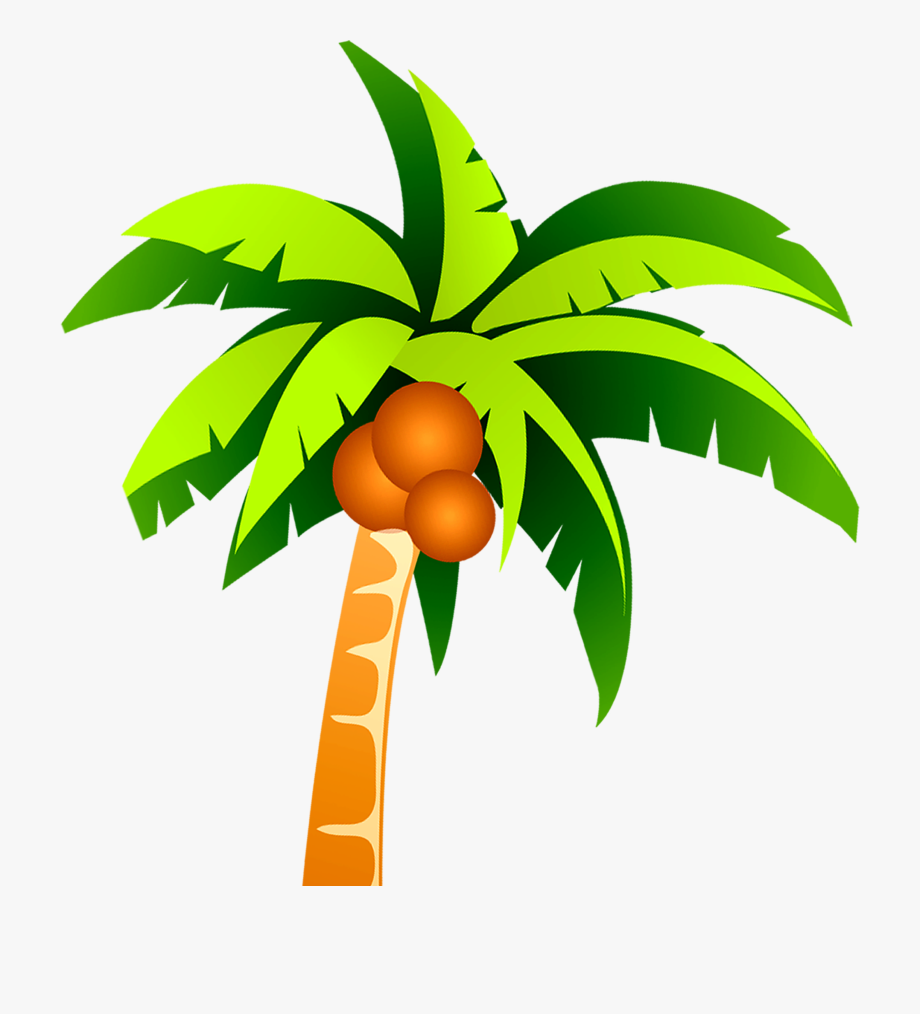Coconut Tree Png