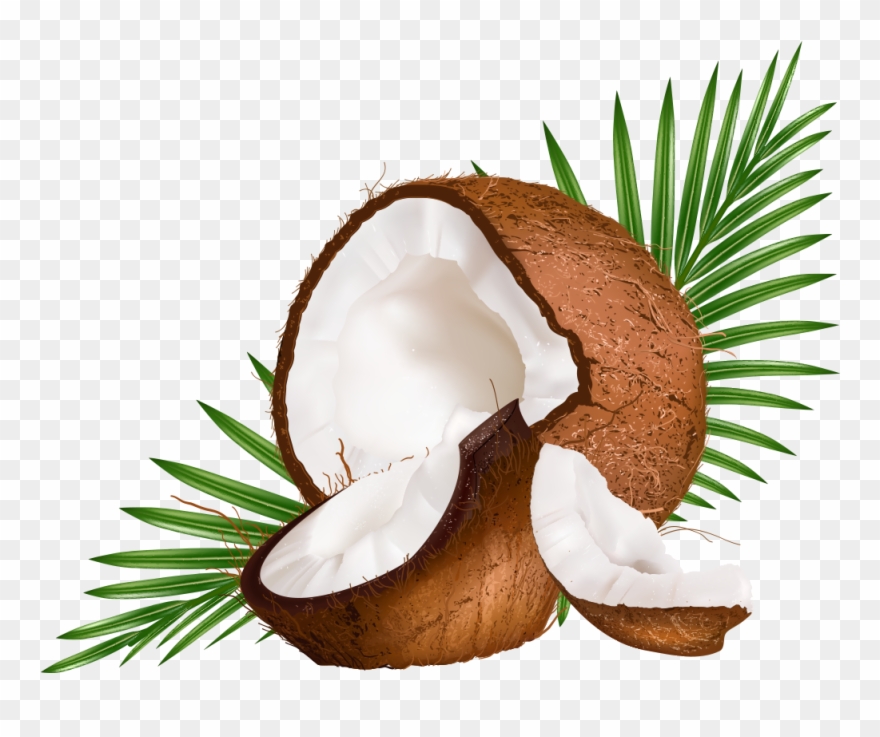 Water Euclidean Coconut Vector Milk Png Free Photo