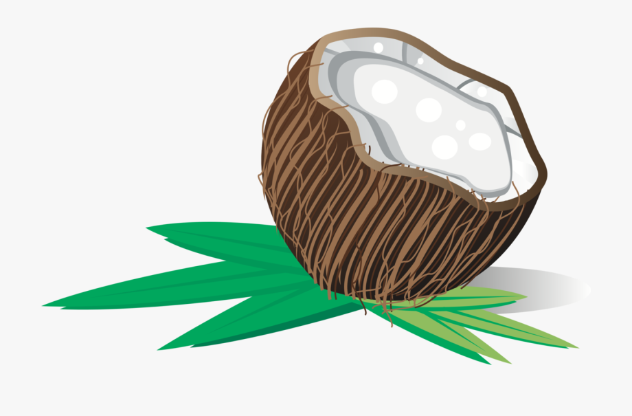 Coconut Water Clipart