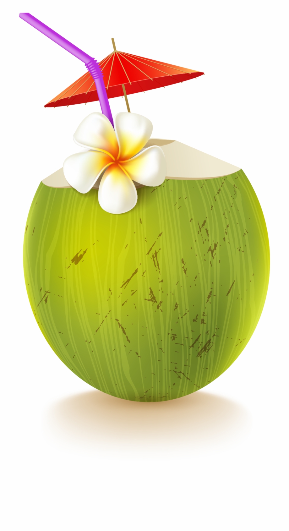 Coconut Water, Coconut, Drink, Apple, Food Png Image