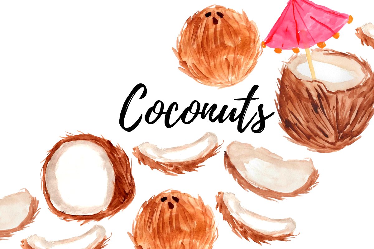 Watercolor coconut clipart.