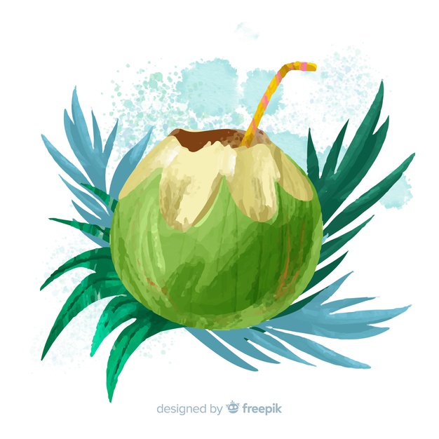 Watercolor coconut background.