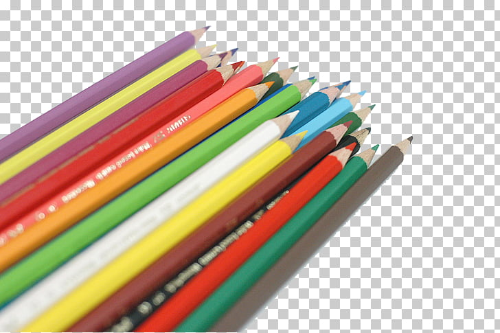 Pencil Office supplies, A row of colored pencils PNG clipart