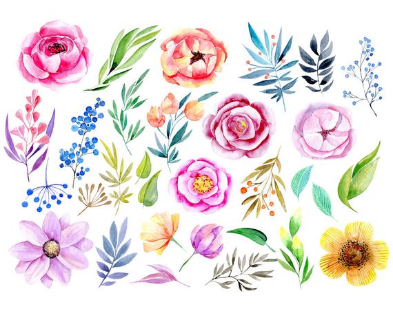 Watercolor floral clipart roses peony leaves branches flower