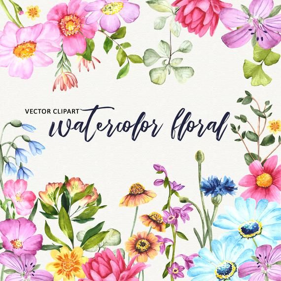 Vector Flower Watercolor floral clipart Vector flowers clip