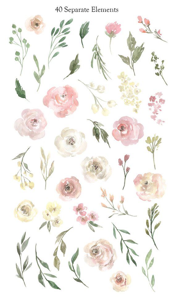 Watercolor Flowers Clipart Gentle Floral Clip Art PNG Free