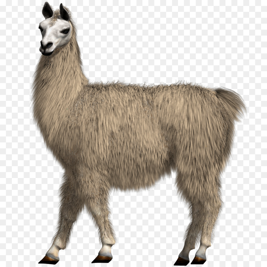 commercial use clipart llama