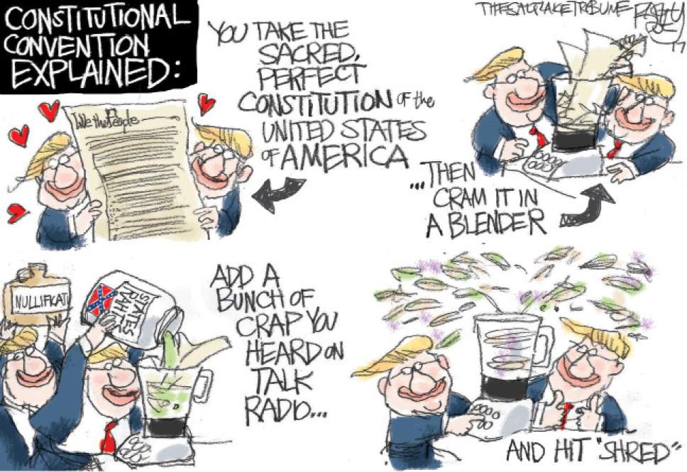 Bagley cartoon constitutional.