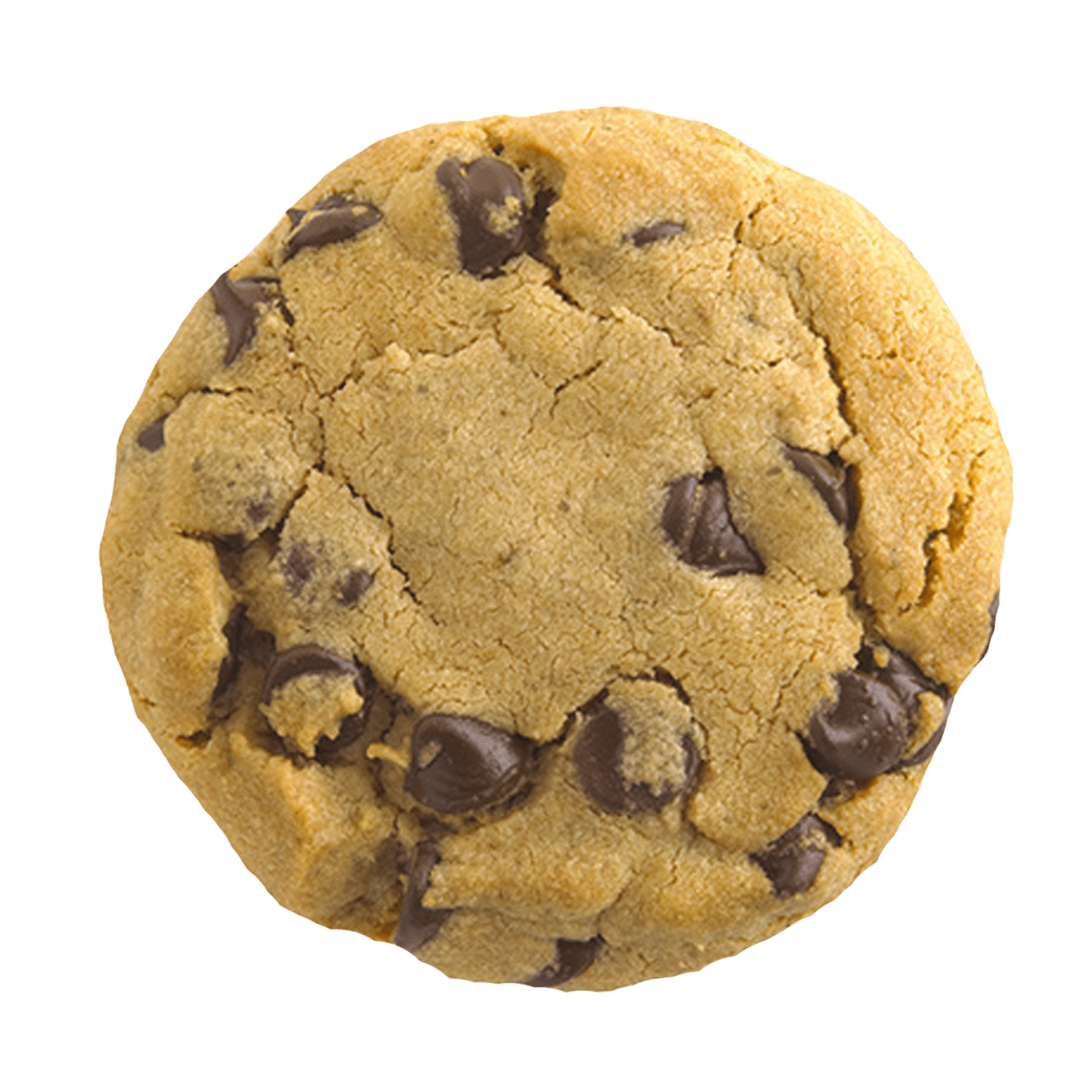 Cookie transparent png.