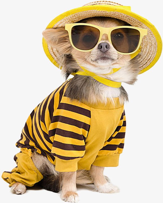 Cool Dog With Sunglasses PNG, Clipart, Cool Clipart, Cool
