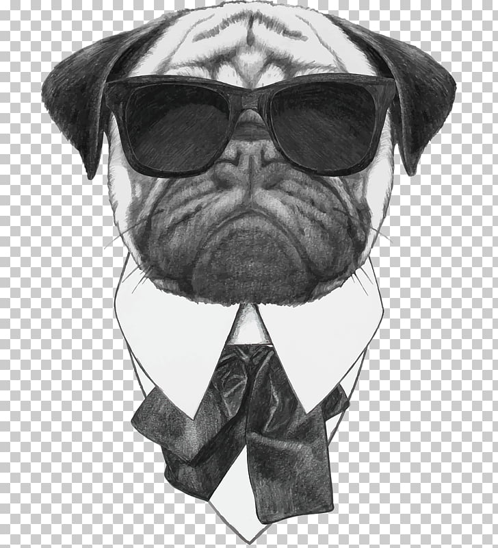 Pug Stock photography Sunglasses Stock illustration, Cool