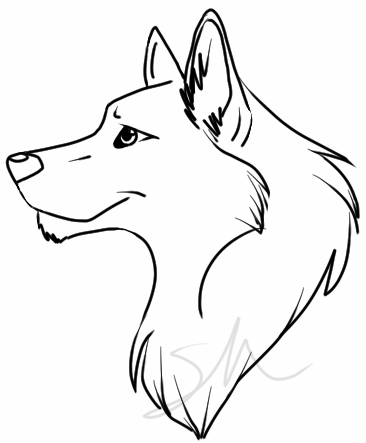 Easy wolf drawing.