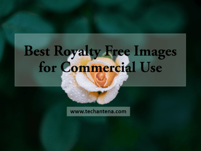 Copyright free images for commercial use