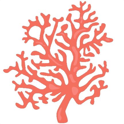 Coral clipart free.
