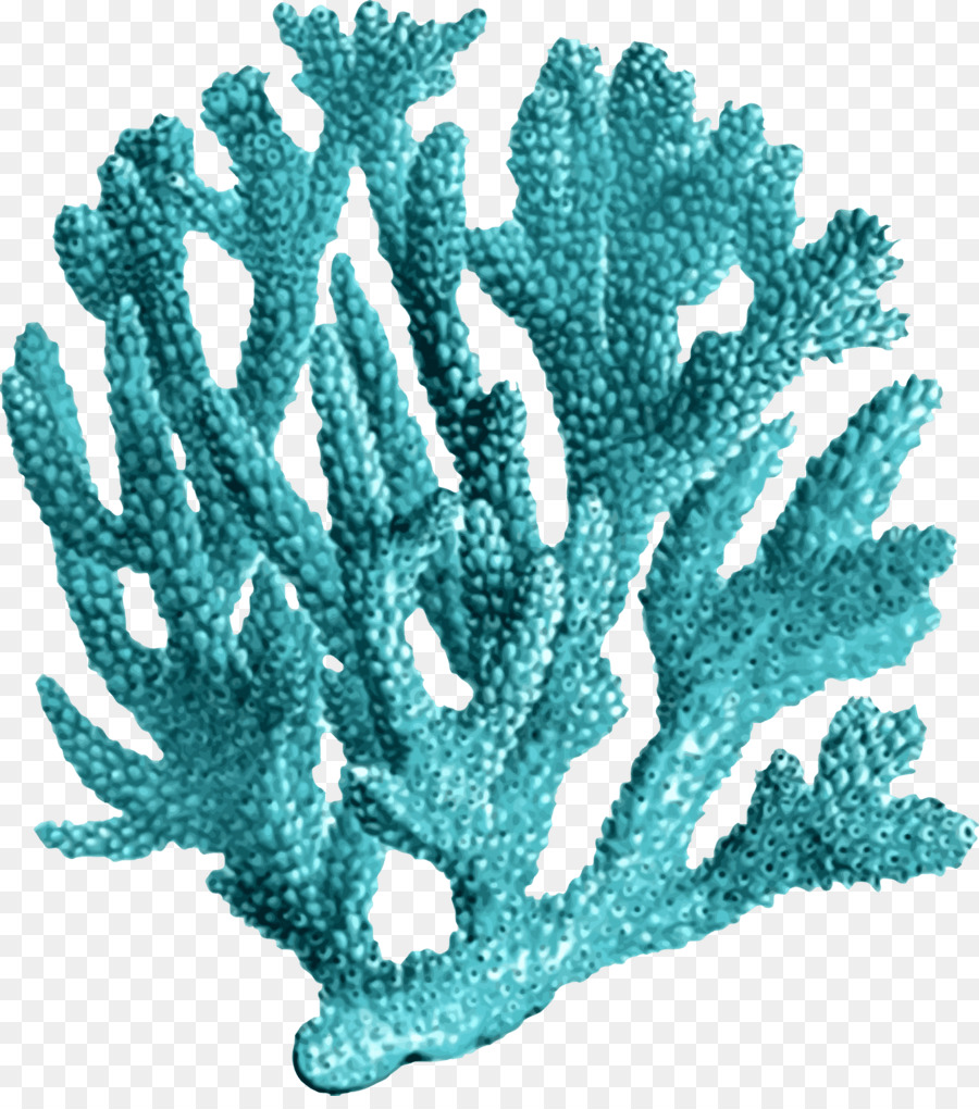 Coral Reef Background clipart