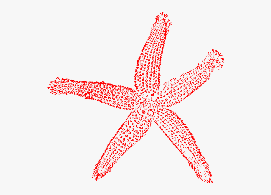 Drawn starfish transparent.