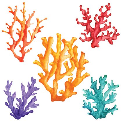 Watercolor colorful corals.