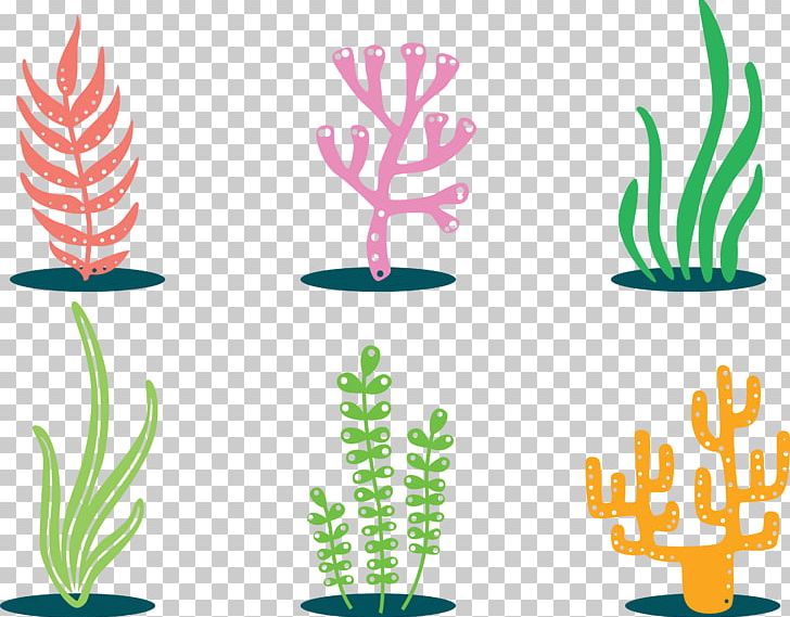 Coral png clipart.