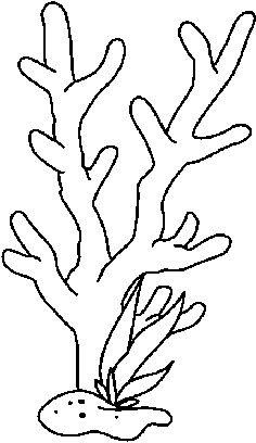 Coral cartoon drawing.