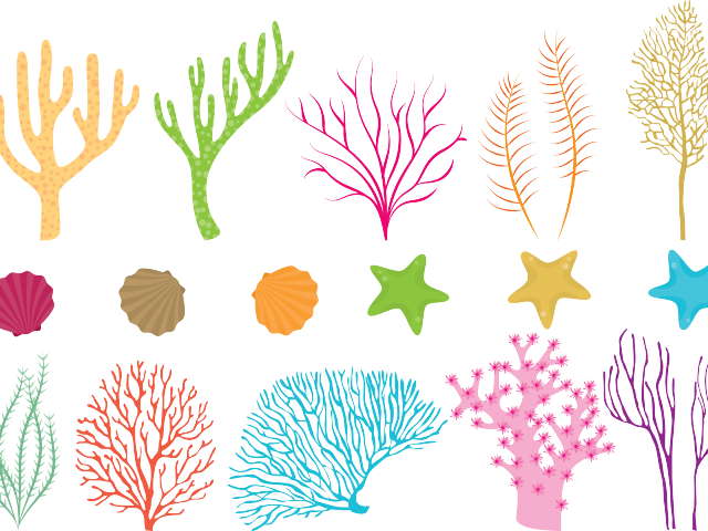 coral clipart easy